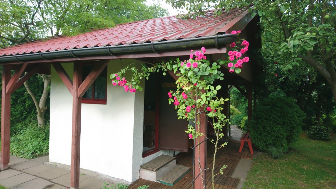 Działka 69 — ogród